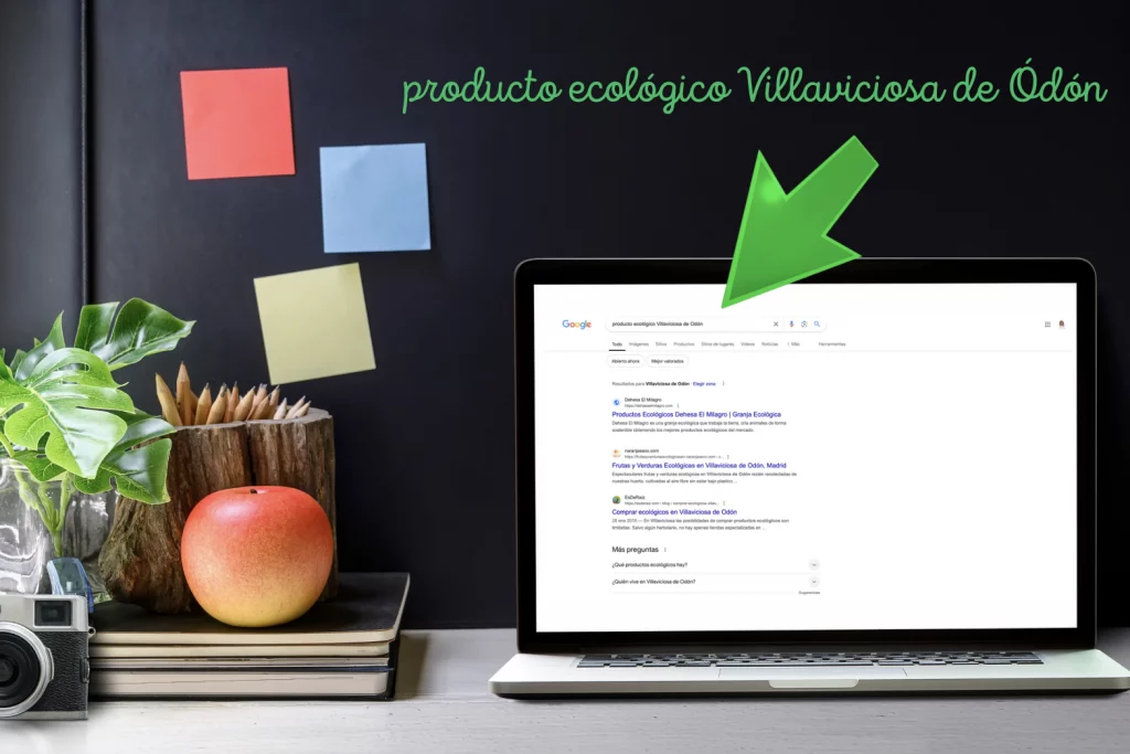 Palabras clave específicas y optimización de metaetiquetas.